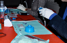 Endodontic system for training