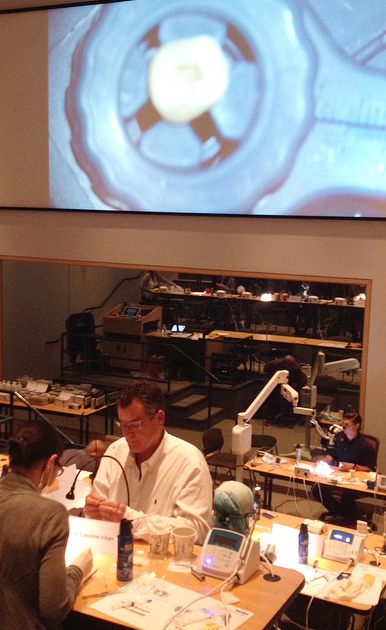 Endodontic system for training